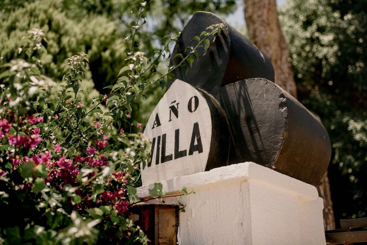 Casona Villa Paquita - Lujosa Villa De 1913 Ondara Esterno foto